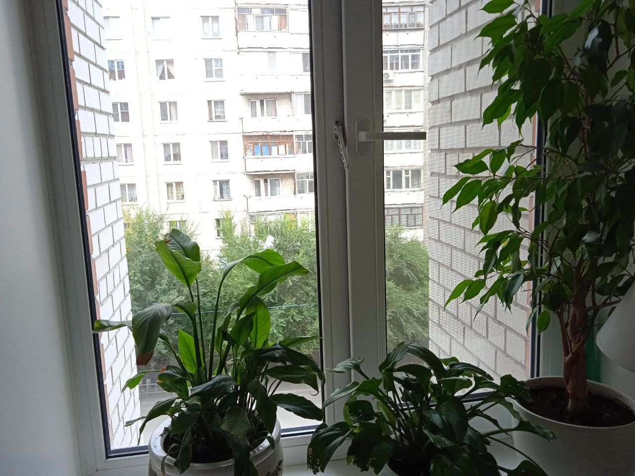 Окно Rehau для квартиры